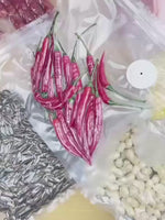 NovaSeal vacuum sealer demo - sealing food